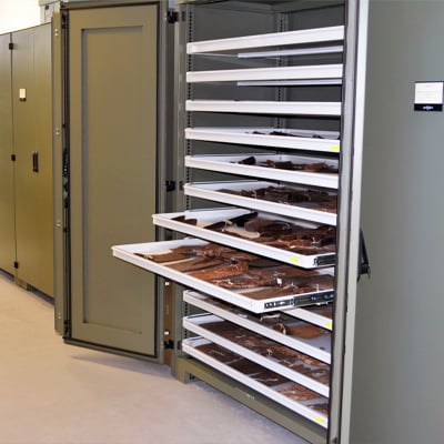 Aurora-museum-cabinet-collections