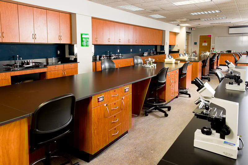 Lab-Hamilton