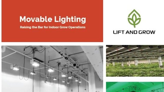 Brochure-LiftnGrow-Cannabis Hemp Lights