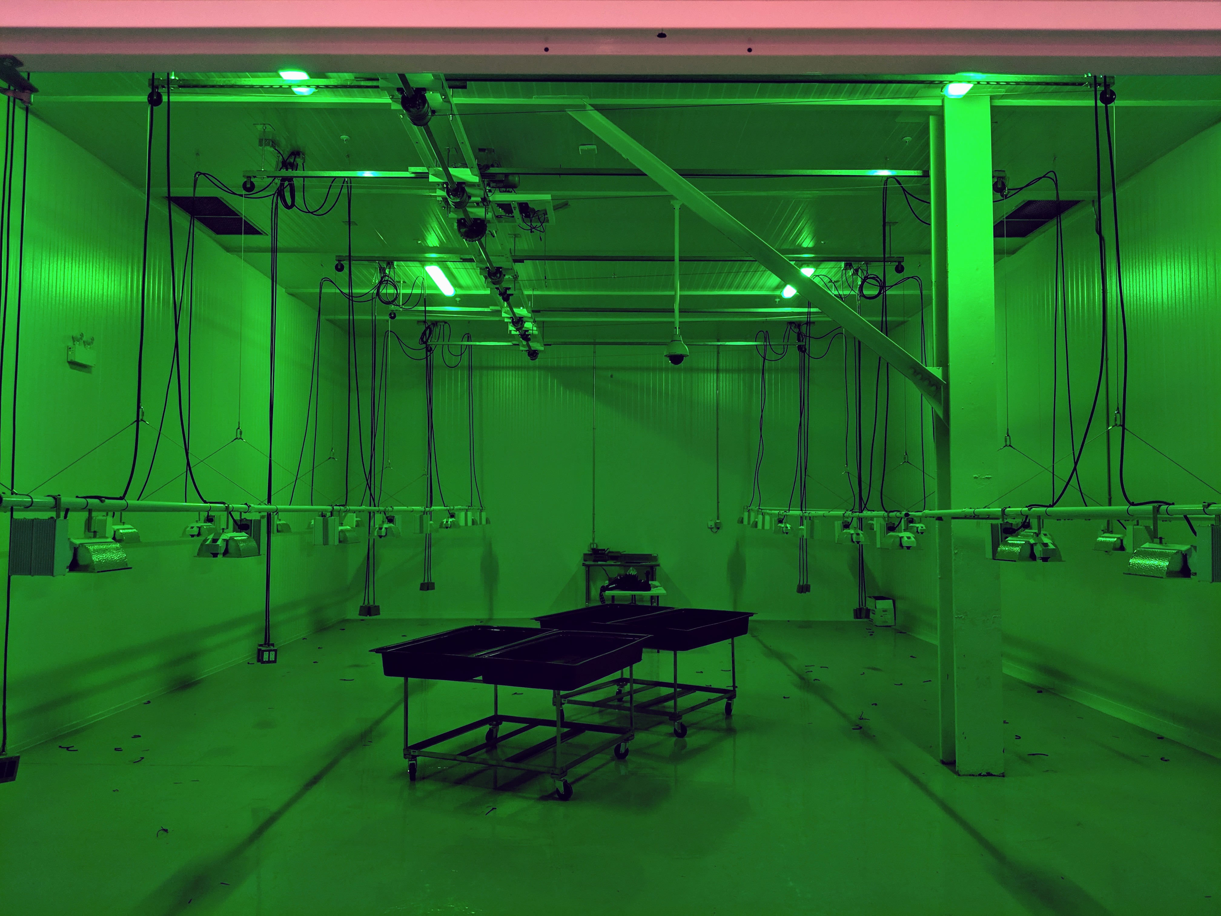 Overhead Movable Lighting-Agricultural