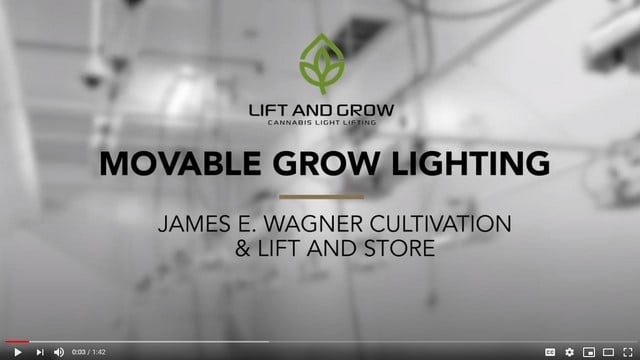 Video-Movable Grow Lighting-Cannabis